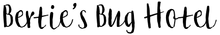 Bertie's Bug Hotel